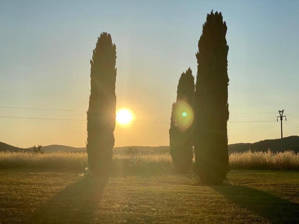 Casale Artemisia Capalbio Bed & Breakfast Luaran gambar